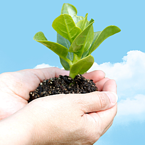 お見積りのイメージ